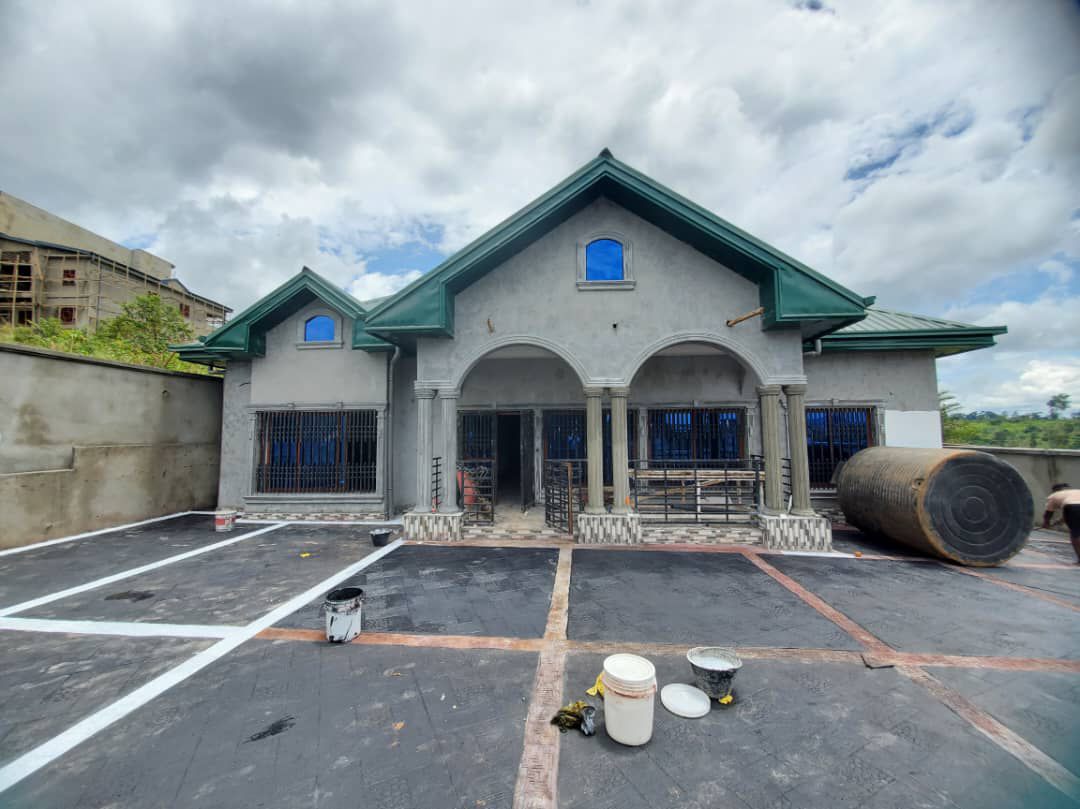 Construction progress 5